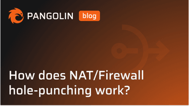 Cover for How Pangolin Punches Through NATs and Firewalls