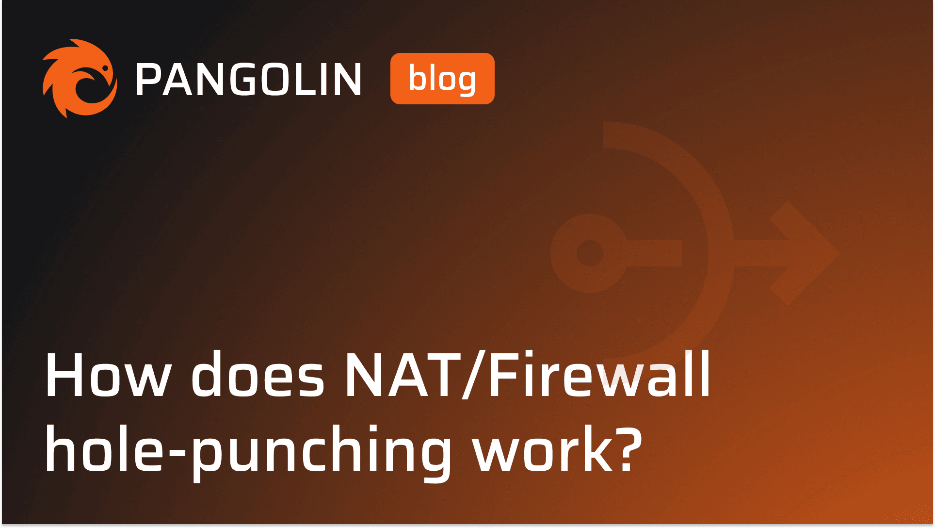 Cover Image for How Pangolin Punches Through NATs and Firewalls
