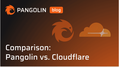 Cover for Comparison: Pangolin vs. Cloudflare One