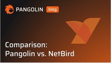 Cover for Comparison: Pangolin vs. NetBird