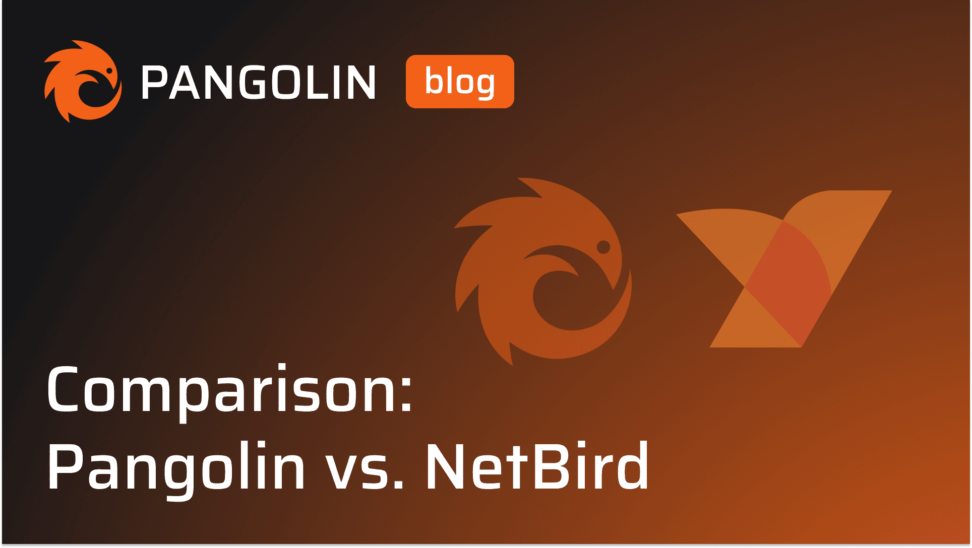 Cover Image for Comparison: Twingate vs. NetBird