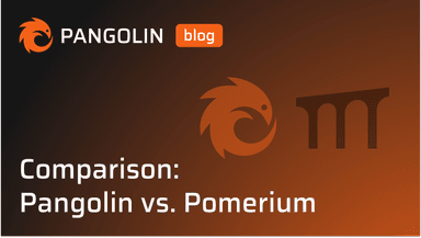 Cover for Comparison: Pangolin vs. Pomerium