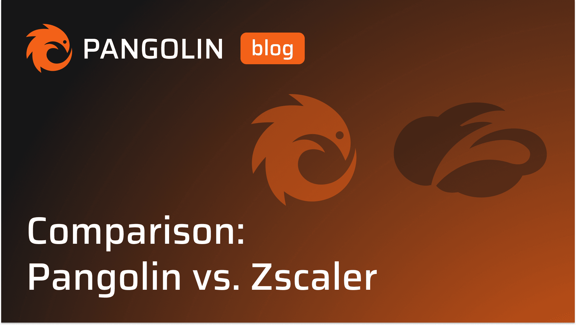 Cover Image for Comparison: Pangolin vs. Zscaler