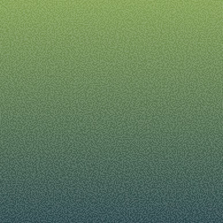 Grainy texture background transitioning from green at the top to dark teal at the bottom.